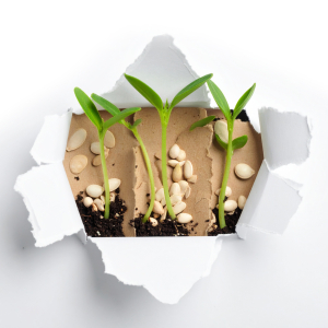 carta semi piantabile