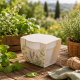 Foto Ambientata della Terracotta Pot