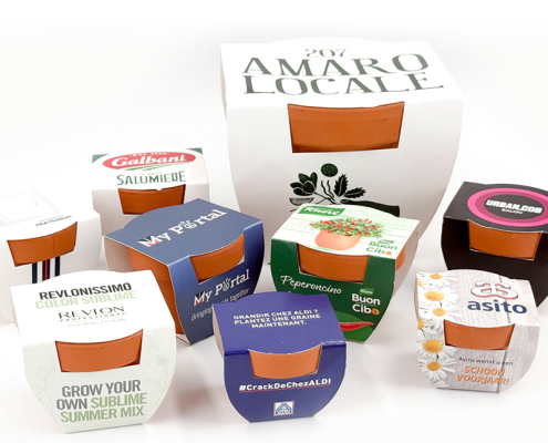 Scatto ravvicinato di un terracotta pot Corthogreen personalizzato con una pianta rigogliosa, posizionato su una scrivania moderna in legno.