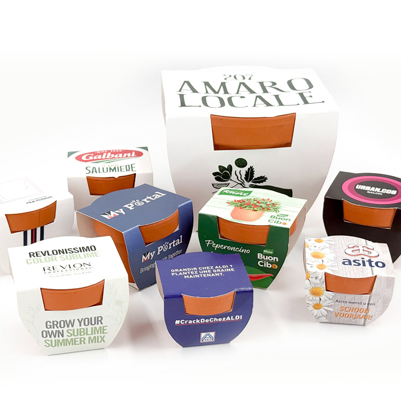 Scatto ravvicinato di un terracotta pot Corthogreen personalizzato con una pianta rigogliosa, posizionato su una scrivania moderna in legno.